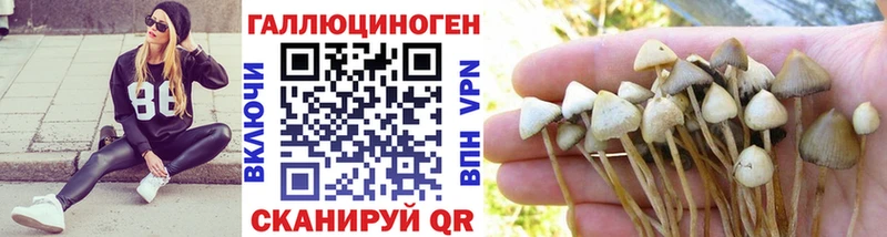 Псилоцибиновые грибы мицелий  Купить где  Болхов 